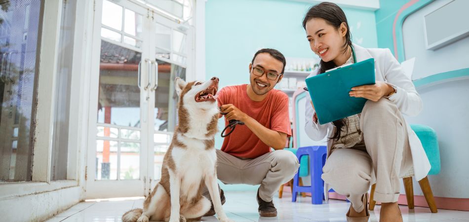 What is the importance of regular veterinary check-ups for pet health?